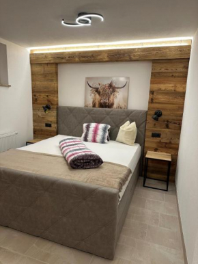 Luxus-Apartment-Vorderreit Gut